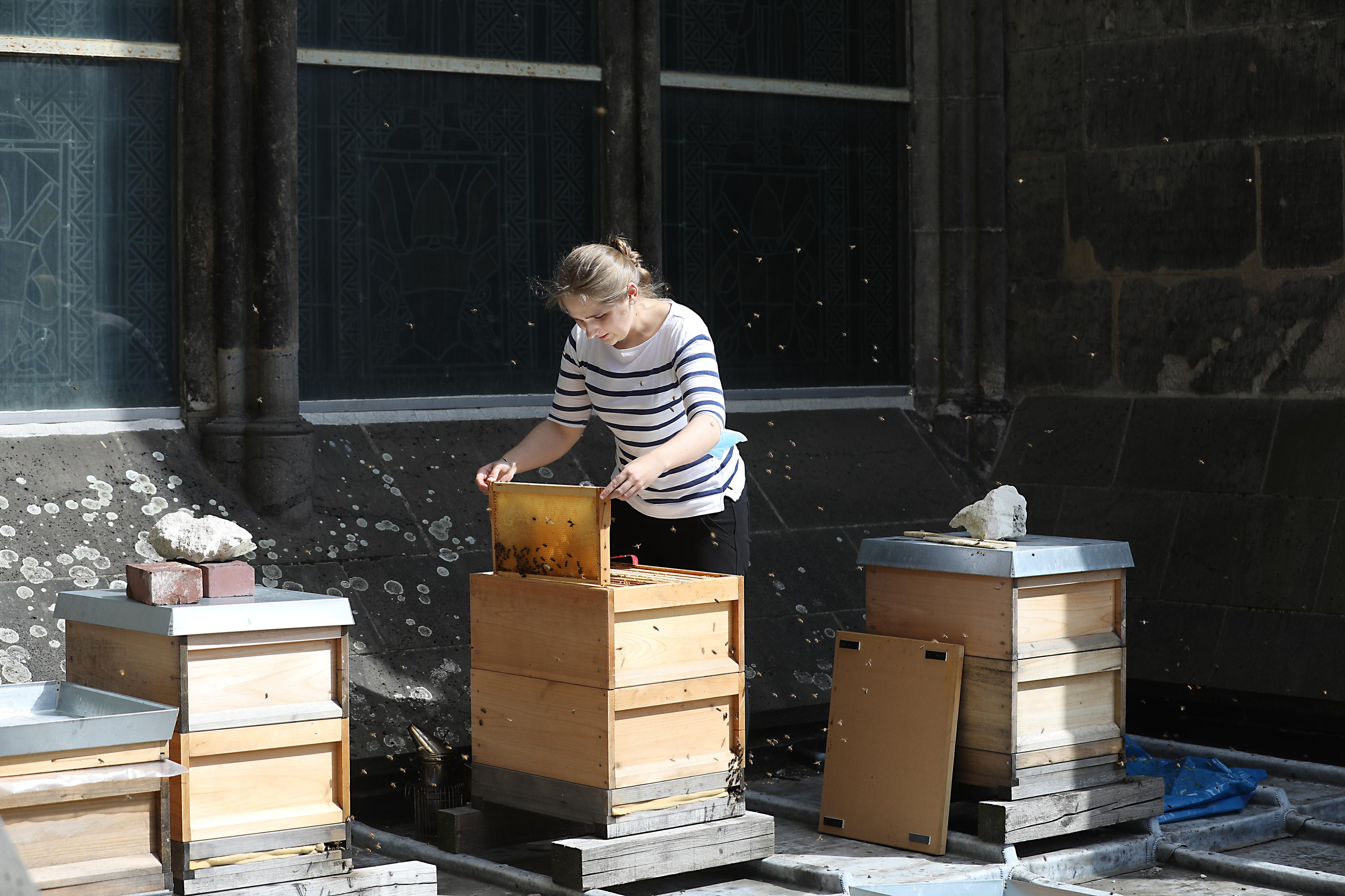 Imkerin Laura Necka bei den Dombienen